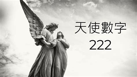 222 數字|天使數字222是什麼意思？你的愛情、工作和靈性指引！